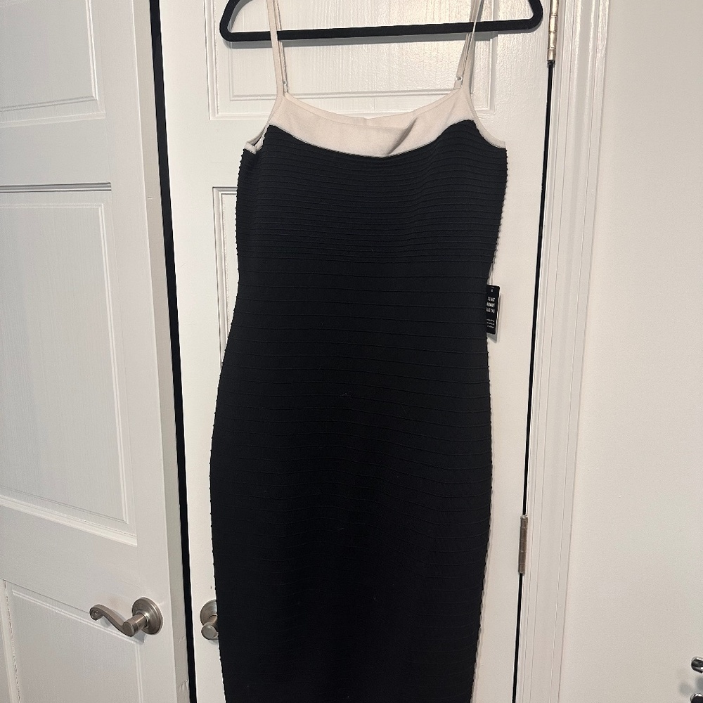 Express bodycon dress